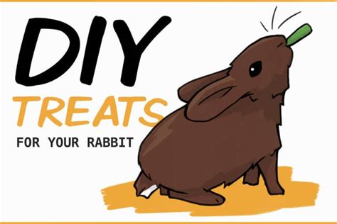 5-homemade-rabbit-treats-to-make-for-your-bunny image