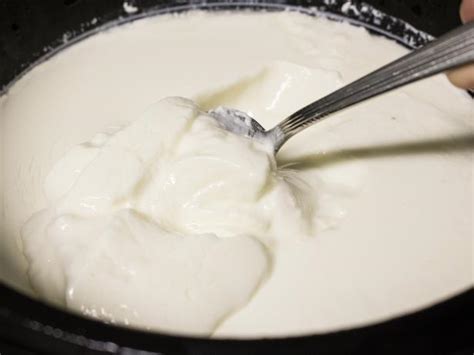 how-to-make-slow-cooker-yogurt-hgtv image