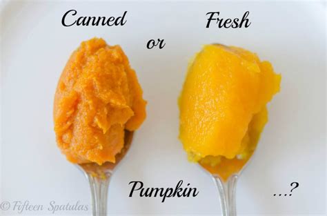 fresh-vs-canned-pumpkin-i-put-them-to-the-test image