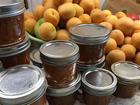 how-to-make-stone-fruit-jams-butters-the-fruitguys image
