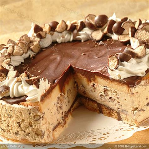frozen-chocolate-cappuccino-crunch-cake image