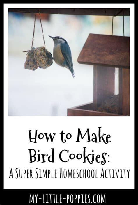 how-to-make-bird-cookies-a-super-simple image