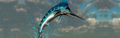 atlantic-blue-marlin-bioexpedition image