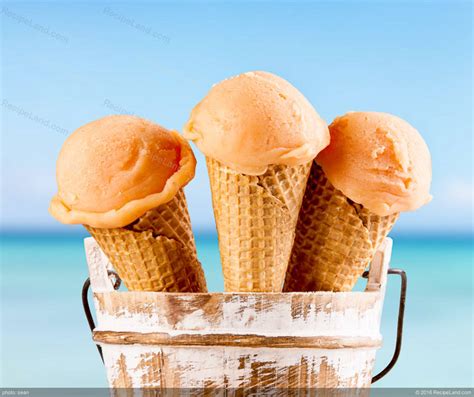 cantaloupe-ice-cream-recipe-recipeland image