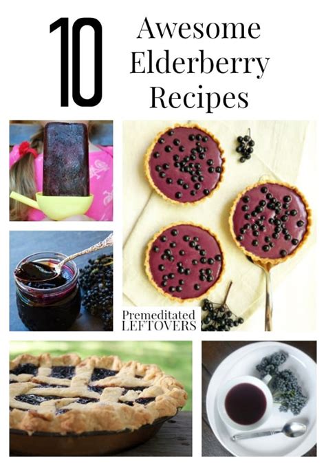 10-awesome-elderberry-recipes-premeditated image