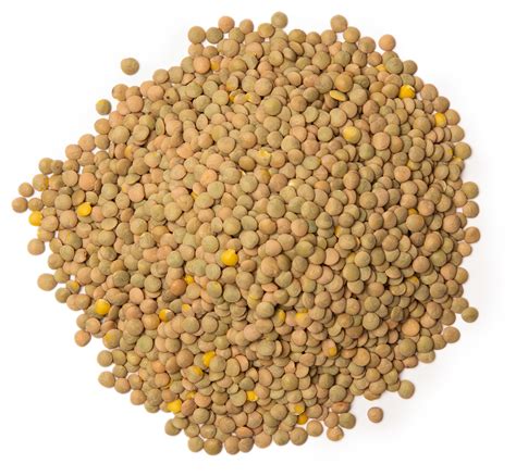 hursts-garlic-herb-lentils-hurst-beans image