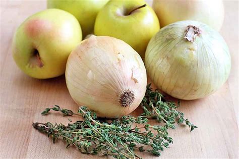 easy-caramelized-apples-and-onions-recipe-foodal image