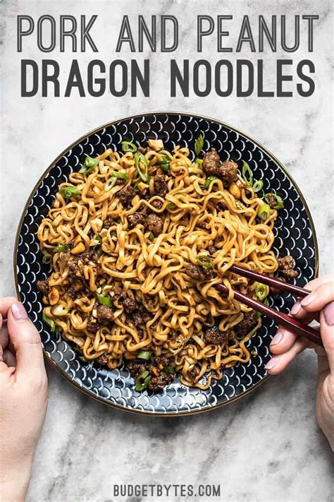 pork-and-peanut-dragon-noodles-with-video-budget image