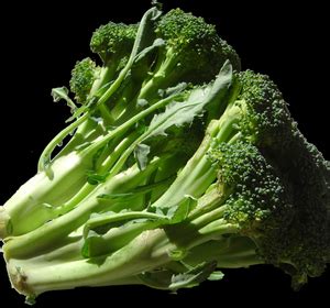 broccoli-mold-recipe-by-americancooking-ifoodtv image