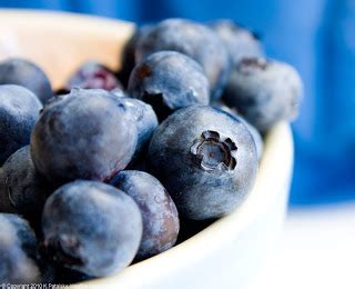 blueberry-sour-cream-tart-the-zero-waste-family image