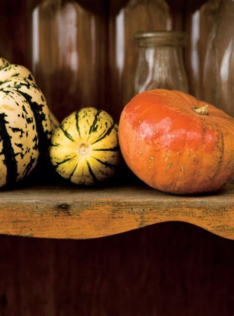 pumpkin-tiramisu-ricardo image