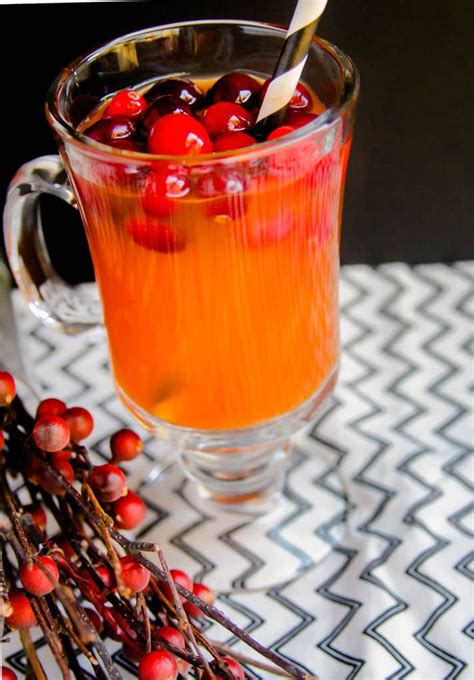 cranberry-pineapple-gut-healthy-elixir-recipe-cotter image