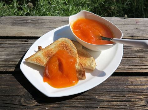 classic-apricot-jam-moms-recipe-from-way-back-a-canadian image