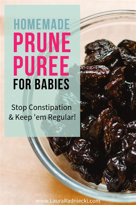 how-to-make-prune-puree-homemade-baby-food image