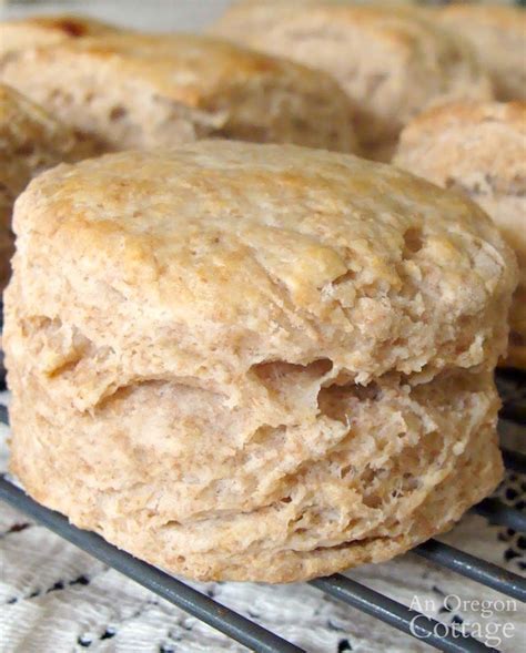amazing-100-whole-wheat-flaky-homemade-biscuits image