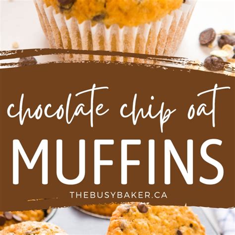 oatmeal-muffins-with-chocolate-chips-the-busy-baker image