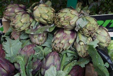 all-about-french-artichokes-taste-of-france image