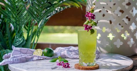 10-of-the-best-summer-gin-highball-recipes-vinepair image