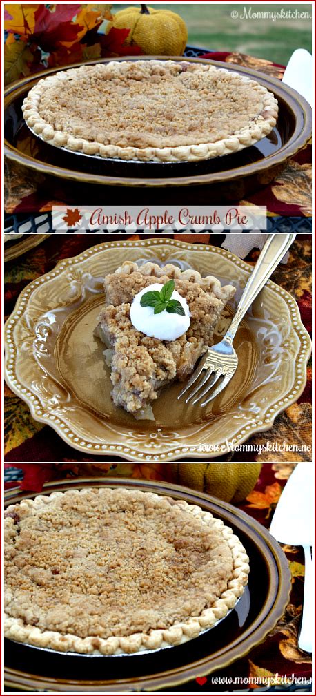 amish-apple-crumb-pie-mommys-kitchen image