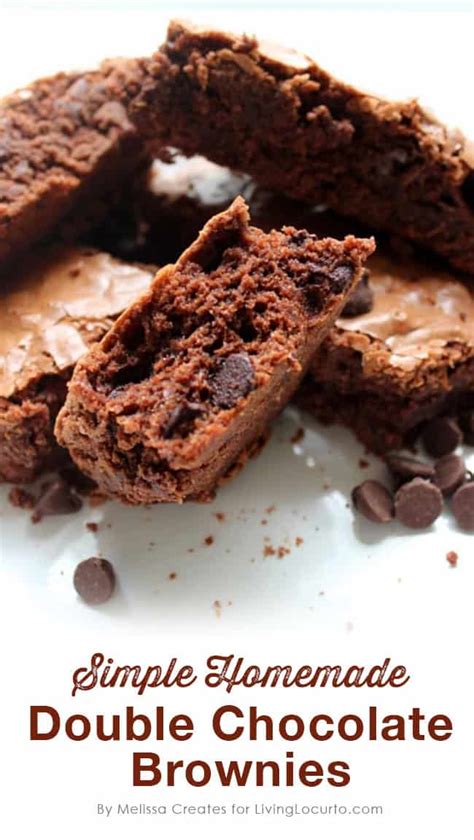 best-double-chocolate-chip-brownies-recipe-living image