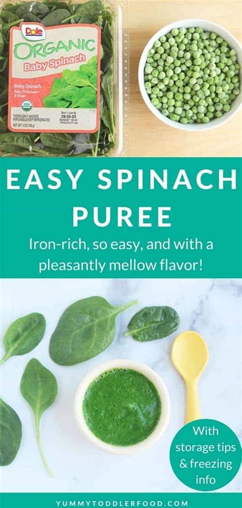 spinach-baby-food-so-easy-and-iron-rich image