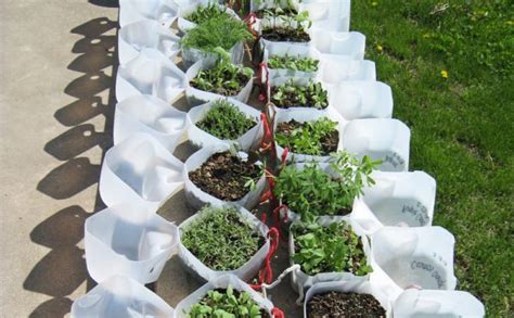 27-vegetable-garden-ideas-to-grow-more-food-in-small image
