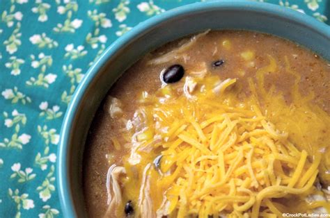 crock-pot-chicken-enchilada-soup-crock-pot-ladies image