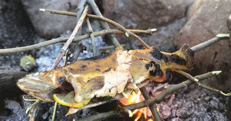 campfire-trout-edible-communities image