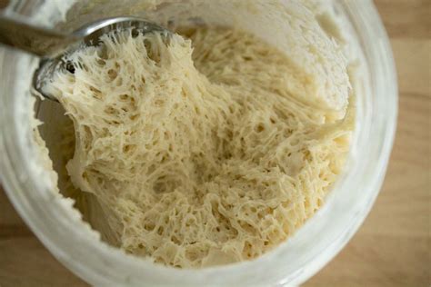 how-to-make-and-use-the-sourdough-starter-chef image