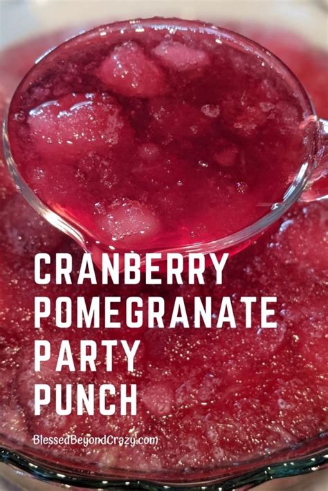 cranberry-pomegranate-party-punch-blessed-beyond image