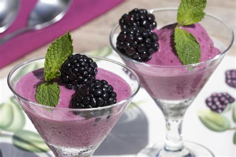 blackberry-frozen-yogurt-everydaydiabeticrecipescom image