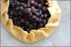 blueberry-cornmeal-tart-not-derby-pie image