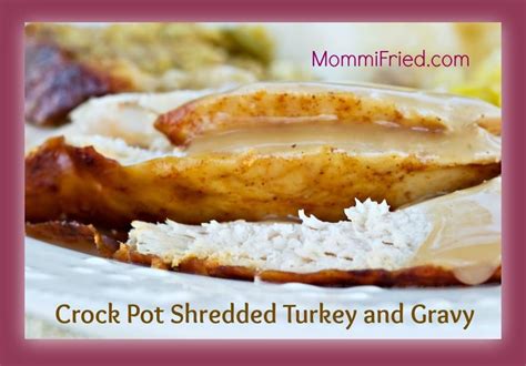 crock-pot-shredded-turkey-and-gravy-filter-free image