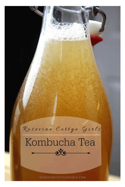 how-to-make-kombucha-tea image