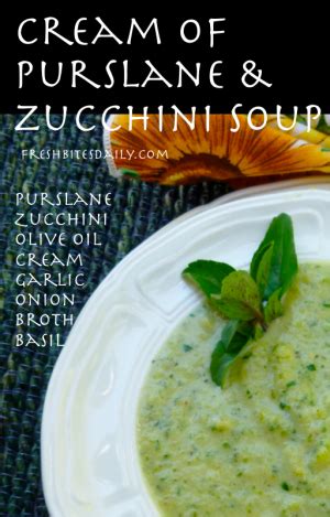 cream-of-purslane-and-zucchini-soup-fresh-bites-daily image