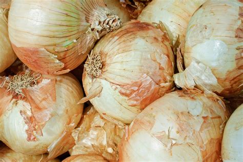 12-vidalia-onion-recipes-add-a-new-twist-to-a-classic image