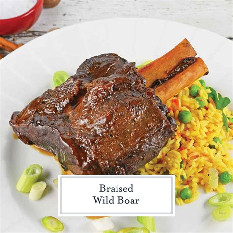braised-wild-boar-how-to-cook-wild-boar-savory image