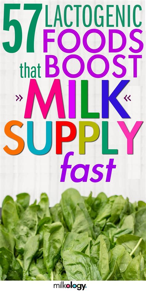 57-lactogenic-foods-to-increase-milk-supply image