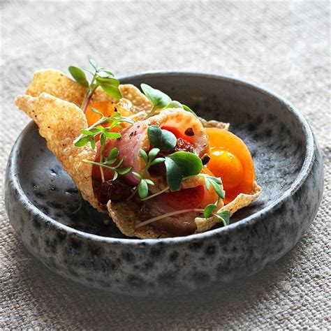 the-best-ideas-for-duck-appetizer-recipes-best-recipes-ideas-and image