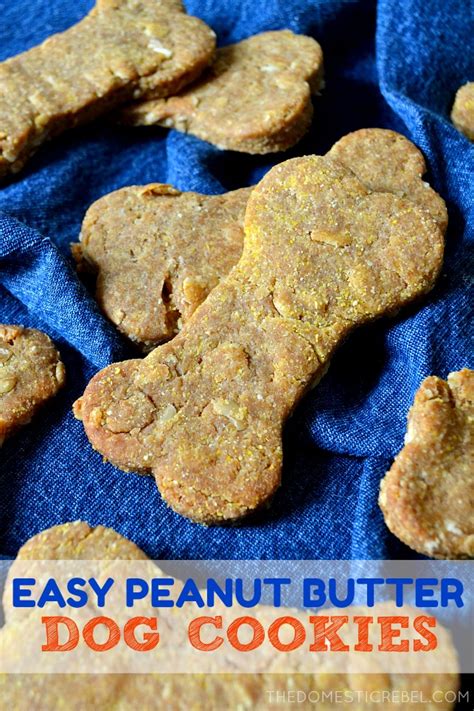 homemade-peanut-butter-dog-cookies-the-domestic image