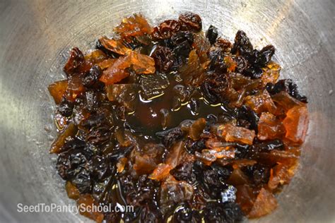 how-to-make-instant-pot-fruitcake-seed-to-pantry image