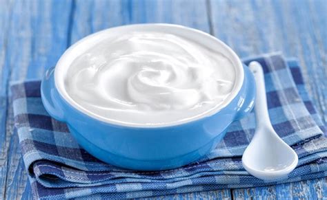 four-easy-greek-yogurt-recipes-for-summers-ndtv image