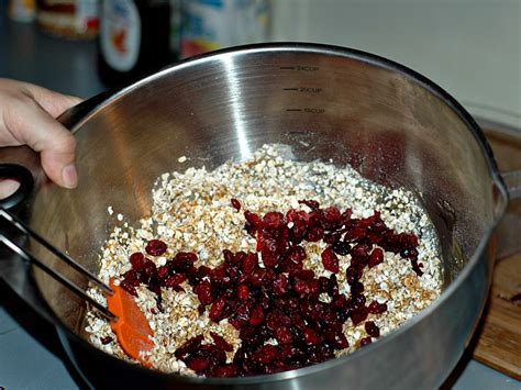 healthy-cranberry-oatmeal-clusters-a-cowboys-wife image