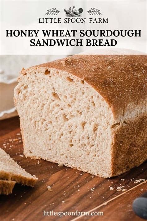honey-wheat-sourdough-sandwich-bread-little-spoon image