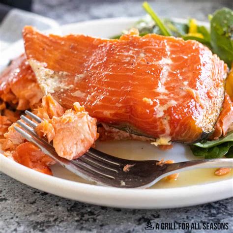 traeger-smoked-salmon-a-grill-for-all-seasons image