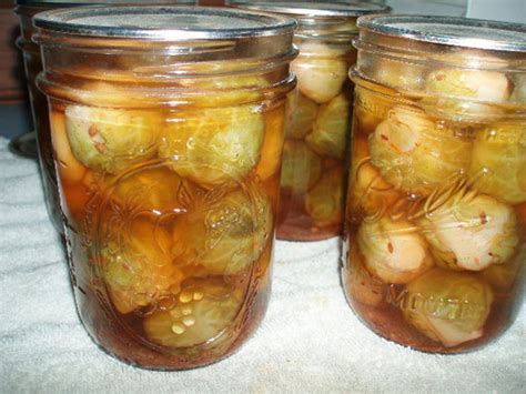 pickled-brussels-sprouts-recipe-mother-earth-news image