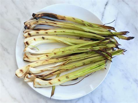 how-to-grill-leeks-big-and-small-recipe-the-spruce-eats image