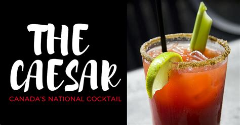 caesar-drink-canadas-national-cocktail-original image
