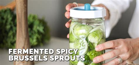 fermented-spicy-brussel-sprouts image