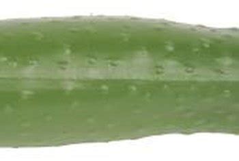 how-to-revive-cucumbers-home-guides-sf-gate image